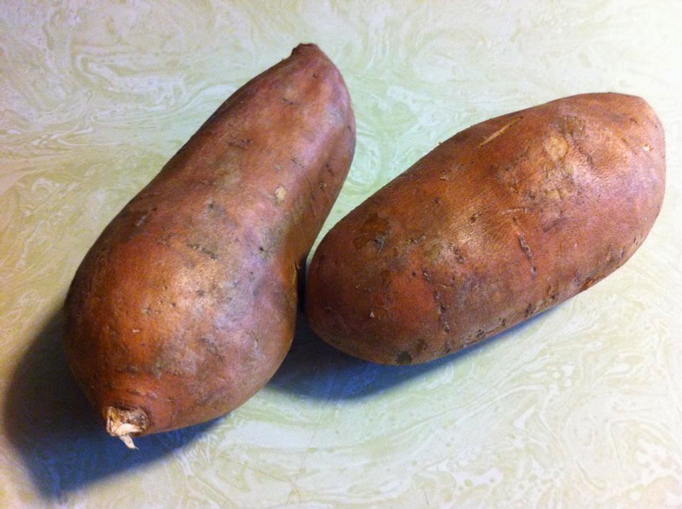 GUEST BLOG DAY Homemade "RAWHIDE" Dog Treats From Katelyn's Kitchen