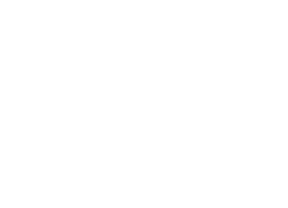 Sandor allexr Veres