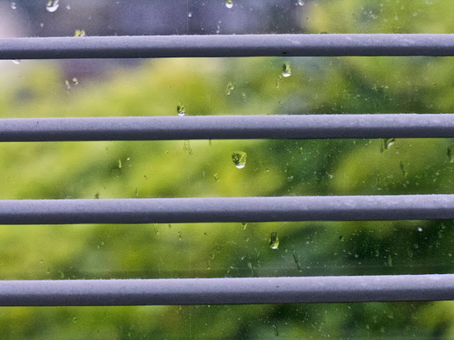 rain on the window rain on the window
