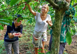 Alat pemanggang dan penggiling kopi telah mendeskripsikan nilai-nilai luhur yang memang dimiliki.