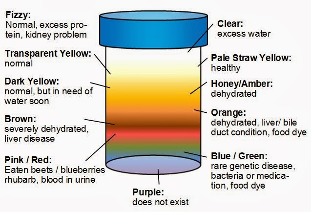 What Color Is Healthy Urine Garage Article Urine Color Chart Meaning