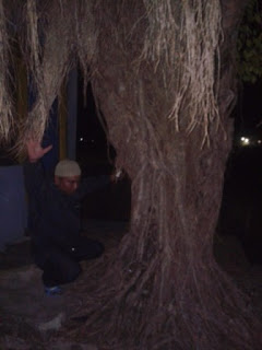 Menebak Keluaran Capjiki Jogja88 dengan metode proyeksi Quantum Oleh