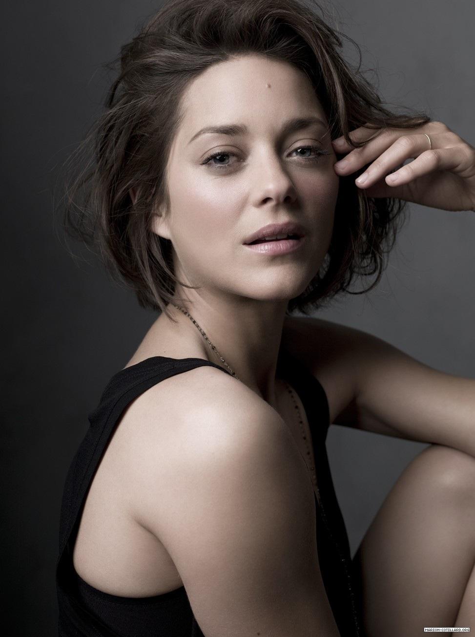 Marion Cotillard Latest Wallpapers Stylish Dp #39 s