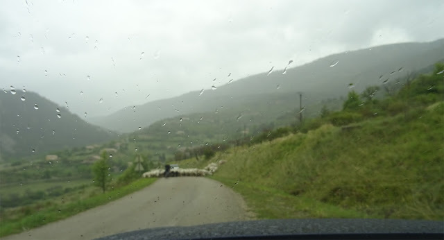 Schafherde in der Kurve, Regen, neblige Berge