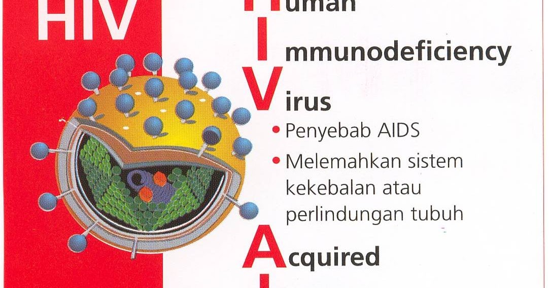 HIV-AIDS Bisa Dicegah Dengan Informasi Yang Baik dan Benar ~ PPKS ...