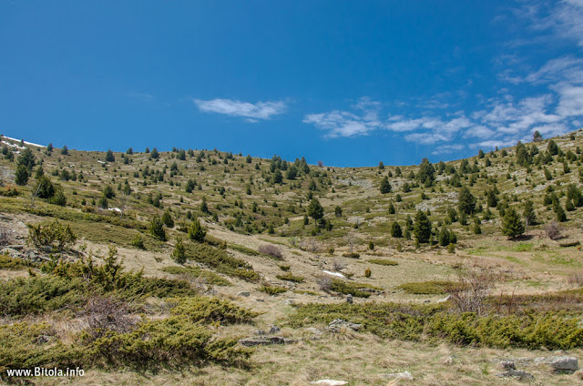 Pelister Panorama - Neolica Hiking Trail, Bitola, Macedonia
