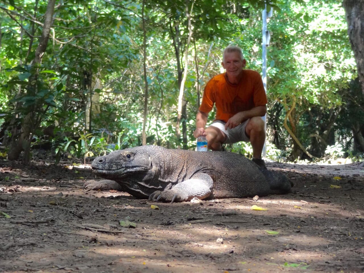 KOMODO DRAGON