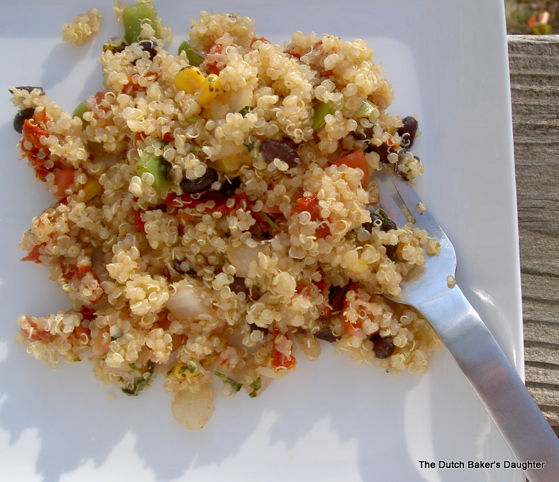 The Dutch Baker's Daughter Quinoa Salsa Salad....three ingredients.