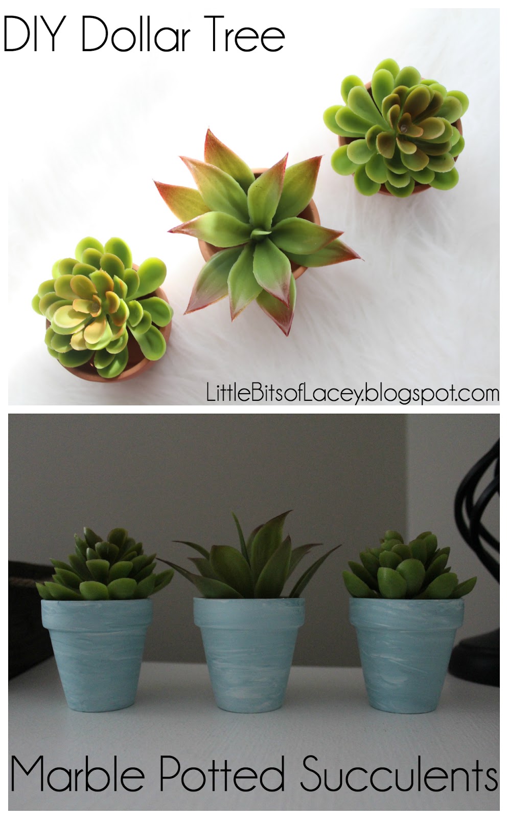 Little Bits of Lacey DIY Marble Dollar Tree Pots for Succulents