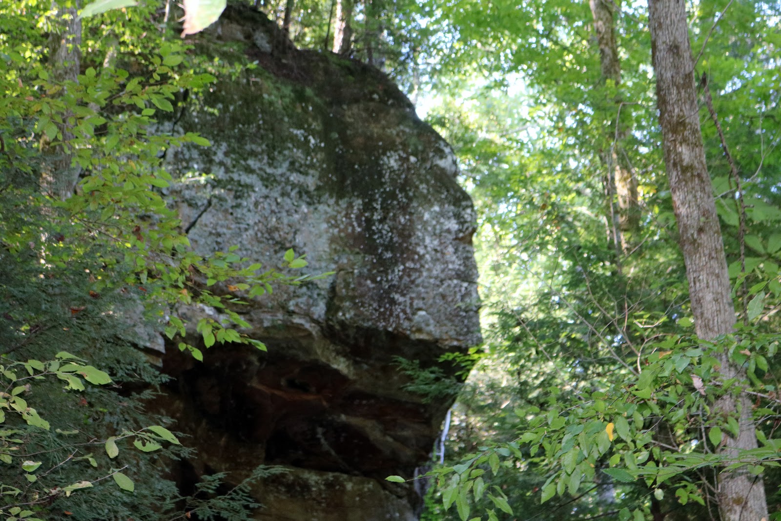 Natural Bridge, Alabama