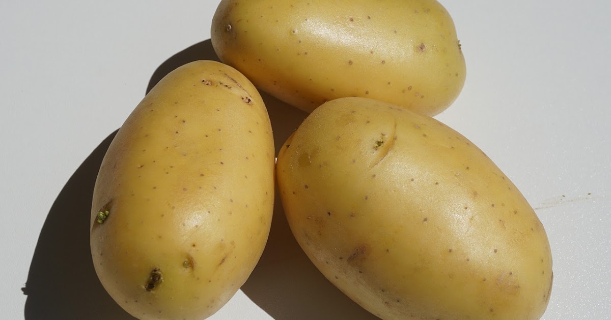 Soft Foods Potatoes Reviewed