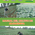 Manual del cultivo de Alcachofa. gratis pdf