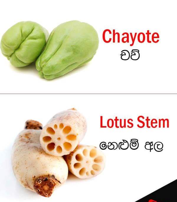 Vegetable names in English Sandy Foods Sri Lanka