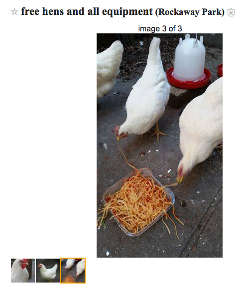 Yayaya Craigslist Free Stuff Stories