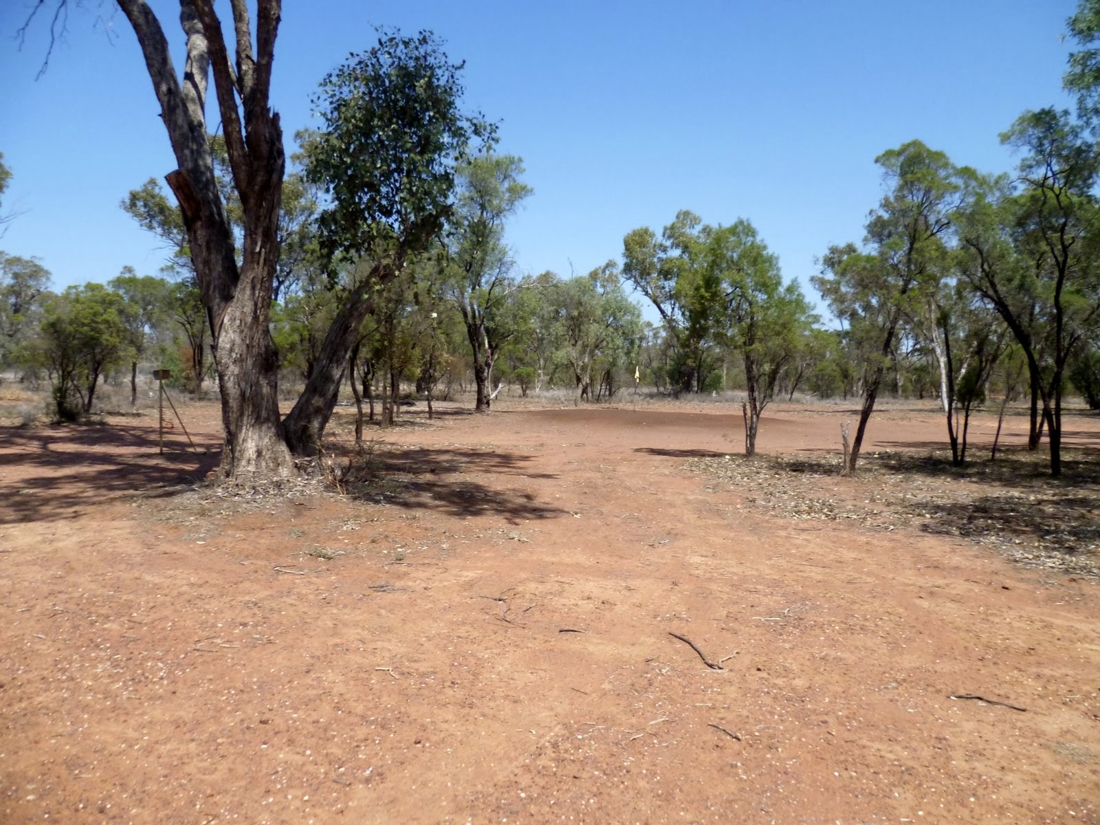 Witchwae Returns to Big Island: Club in the Scrub - Grawin