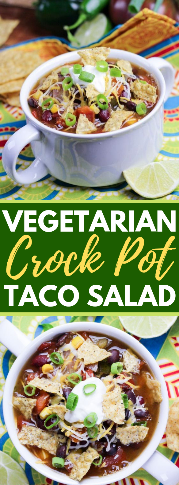 Vegetarian Crock Pot Taco Soup