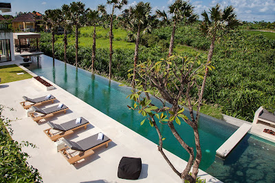 Project White Classic Limestone : Villa Palm Tree Swimming Pool (Limestone Honed)