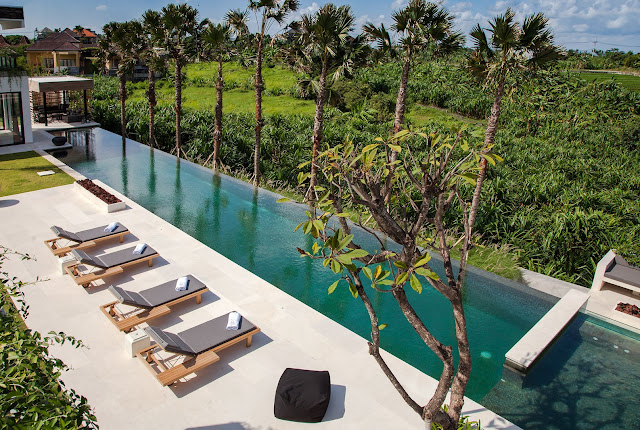 Project White Classic Limestone : Villa Palm Tree Swimming Pool (Limestone Honed)