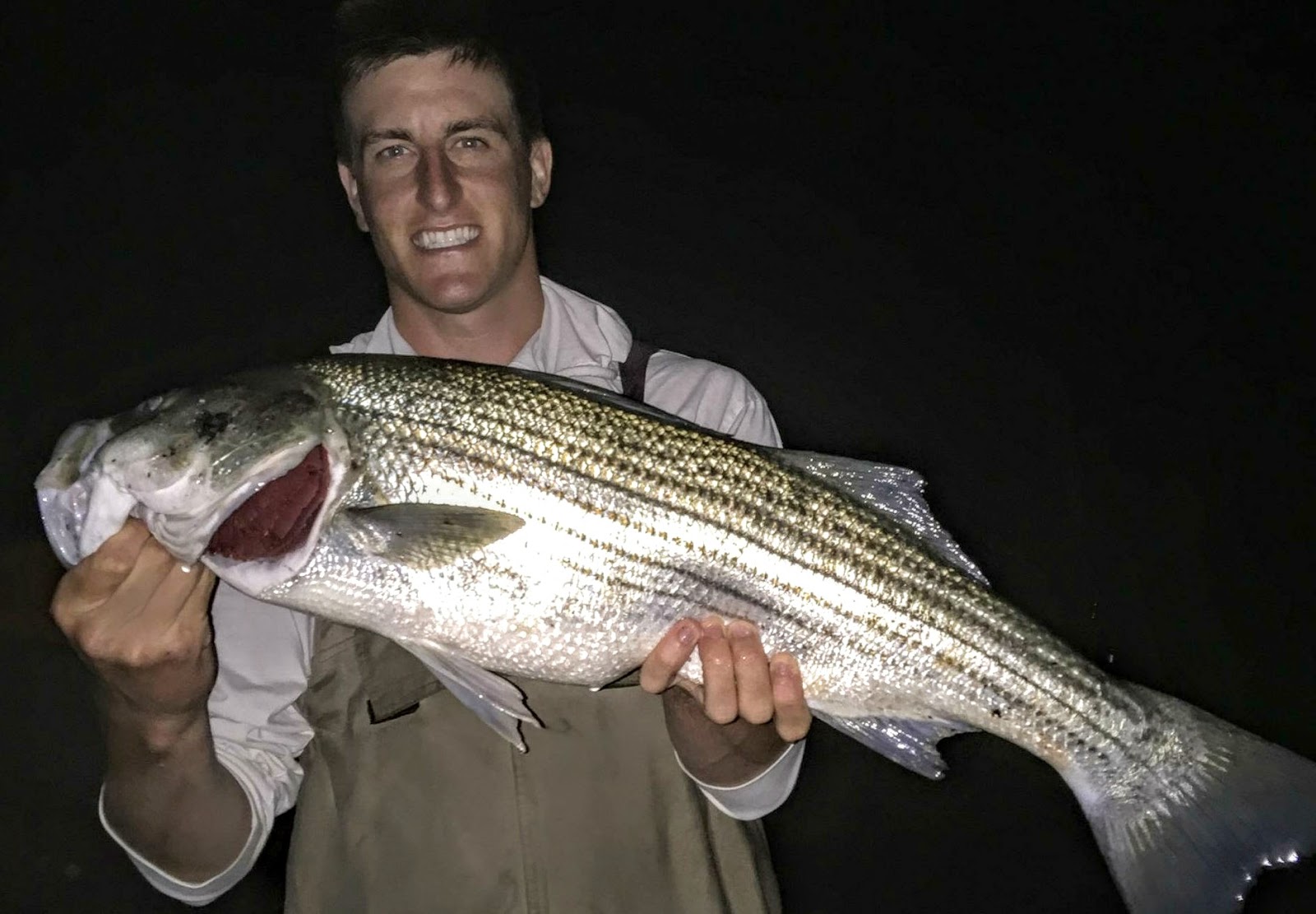 Dave pickering striped bass Clearance