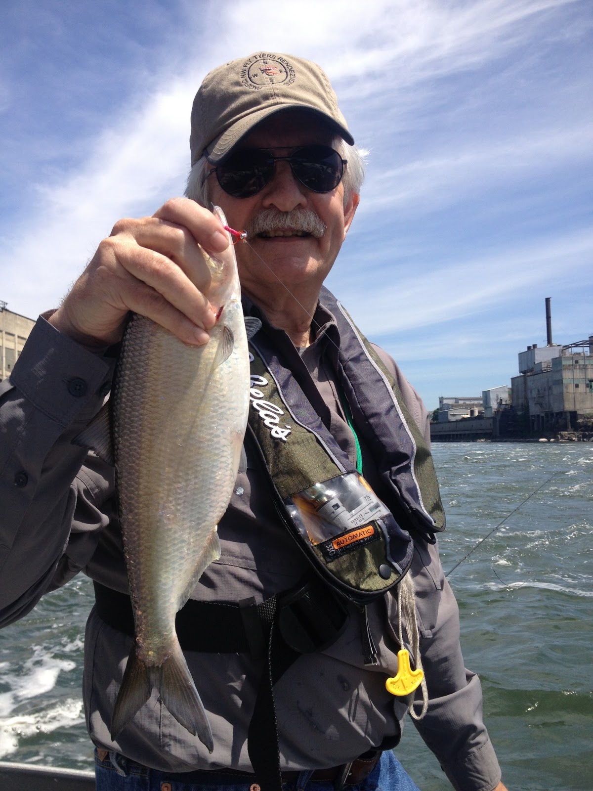 Fly Fishing for Shad the Oregon Tarpon Water Time Outfitters