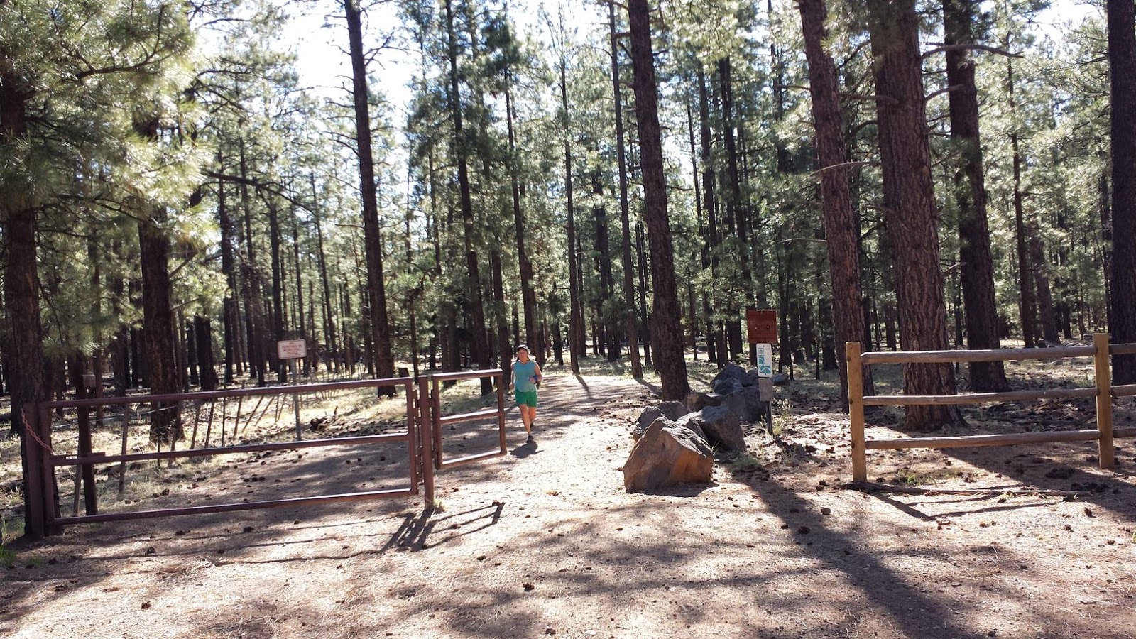Flagstaff Trail Running Railroad Springs Run and Color Vibe