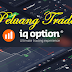 Peluang Investasi Trading IQ Option
