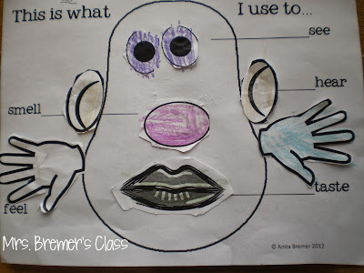 Five Senses learning ideas and fun activities with resources for teaching the 5 senses in Kindergarten- love the Potato Head craftivity! #fivesenses #5senses #kindergarten #kindergartenscience #science