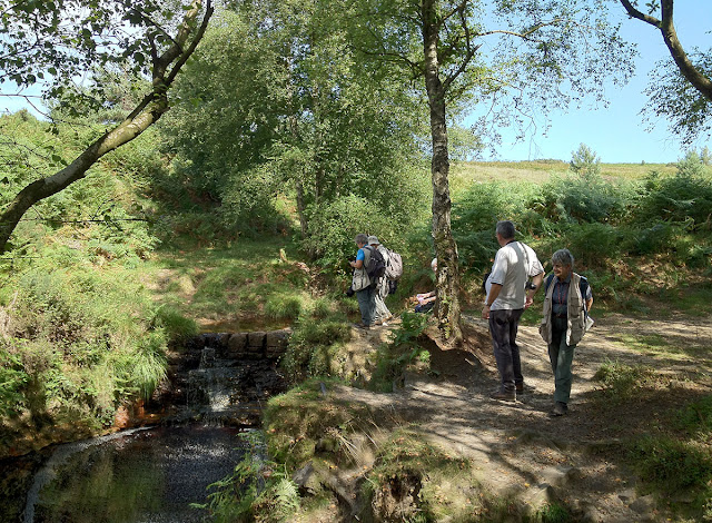 Waterfall in the Ashdown Forest, 17 August 2012.