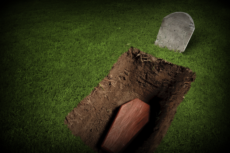 Bytes And Banter My Son Failed By An Inch Chapter 11