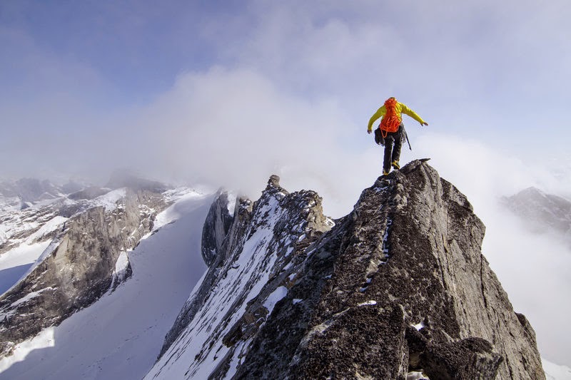Hiking and Climbing Adventures Alaska's Revelation Mtns + Bold Line on