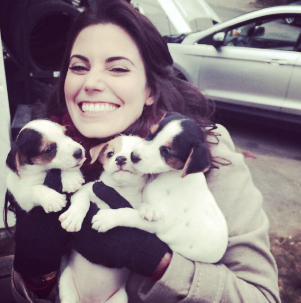 Download Meghan Ory Debbie Macomber&#039;s Dashing Through The Snow Background
