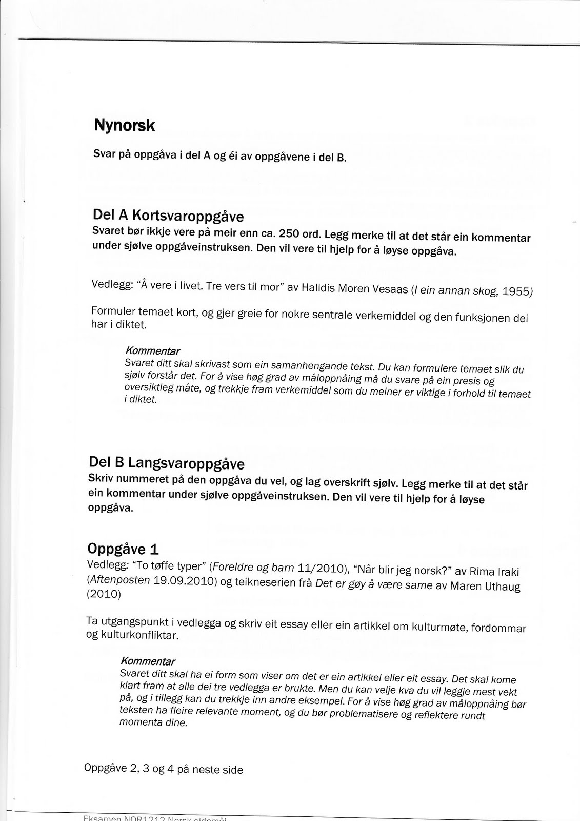 Eksempel essay eksamen 06 image