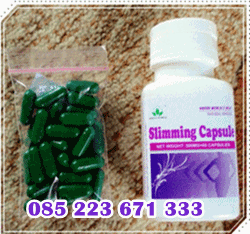 Obat Penekan Nafsu Makan Terbaik Obat Penekan Nafsu Makan Terbaik