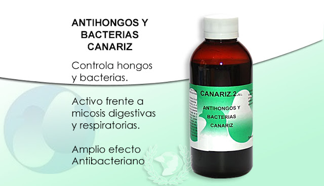 Probando un producto  Antihongos%2By%2Bbacterias%2BCanariz