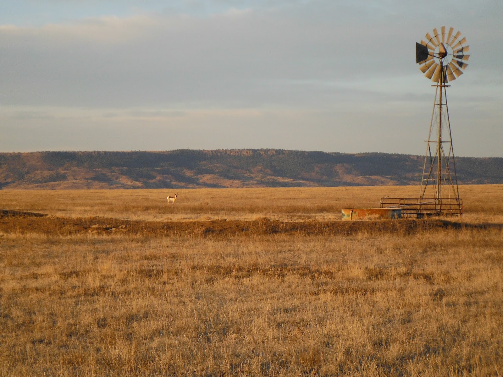 The Gossamer Hiker March Hike at Springer Lake, New Mexico