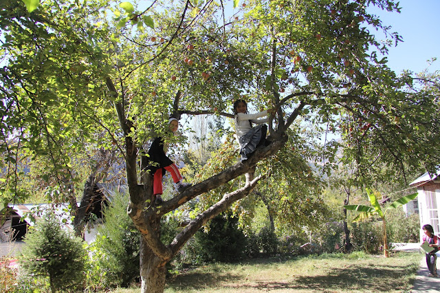 Kirghizistan, Arslanbob, Mirzorahim, © L. Gigout, 2012