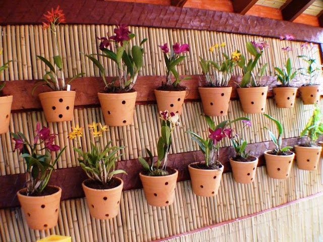 30 Hanging and wall garden ideas for your decor - Diy Fun World