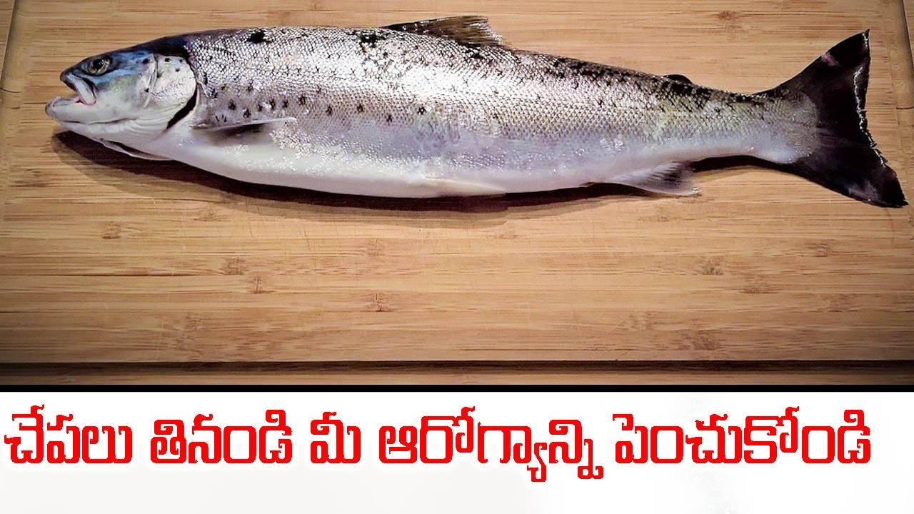 Salmon Fish In Telugu Scribd India salmon-fish-in-telugu-scribd-india