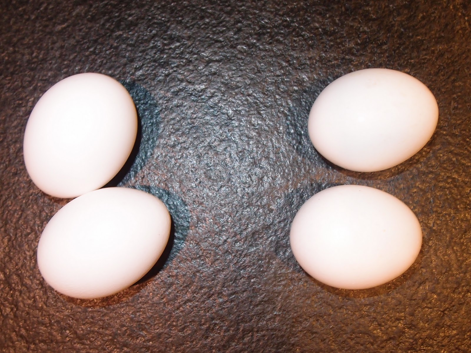 Natural Eggs Vs Store Bought Natural Eggs Vs Store Bought