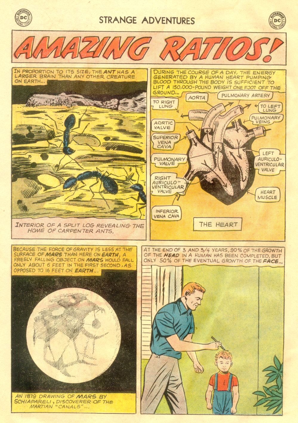 Read online Strange Adventures (1950) comic -  Issue #161 - 22