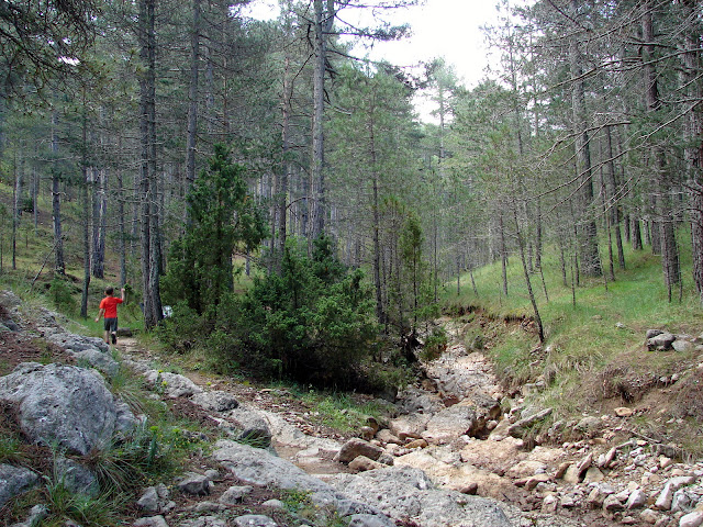 Barranc de la Pegunta