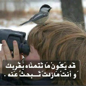 صور فيها اجمل الكلمات المعبرة