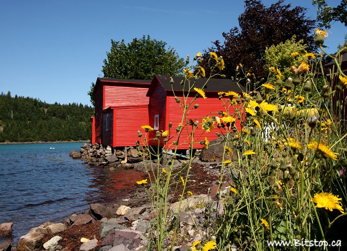 Bitstop Conception Harbour