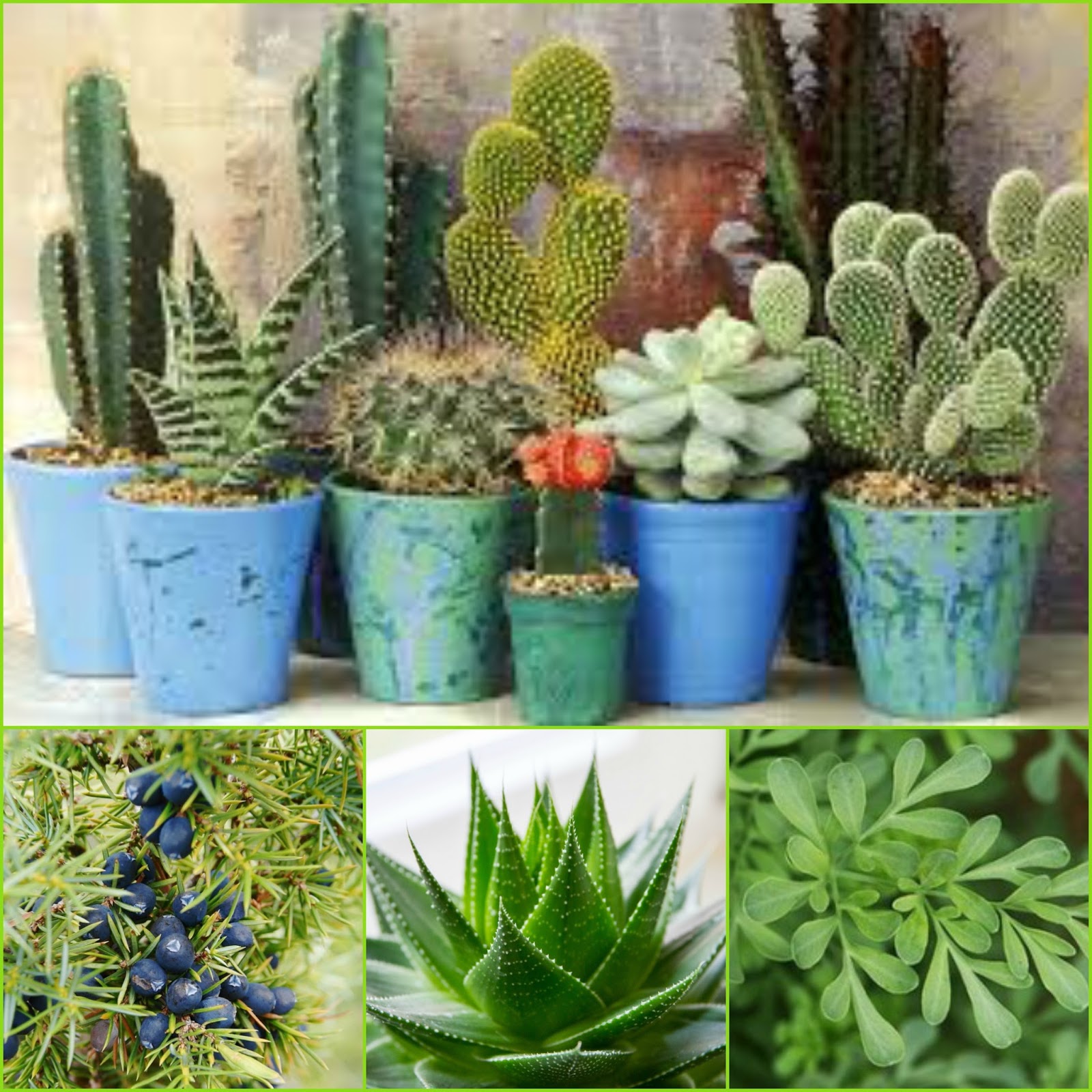 Protección contra las brujas Leyendas de