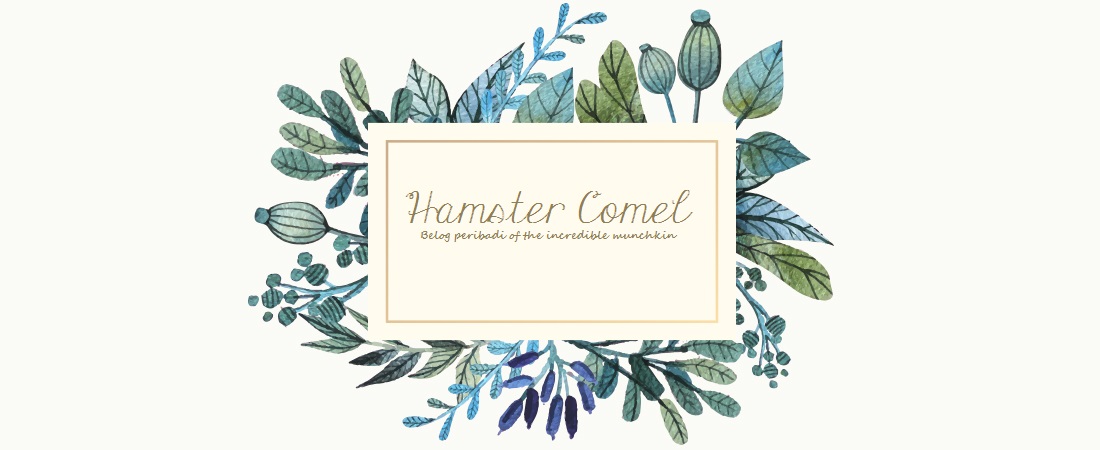 Hamster Comel