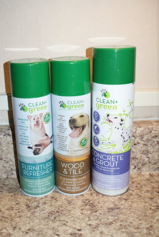 Shoking story Sears Roebuck and Company clean carpet dog urineSo a