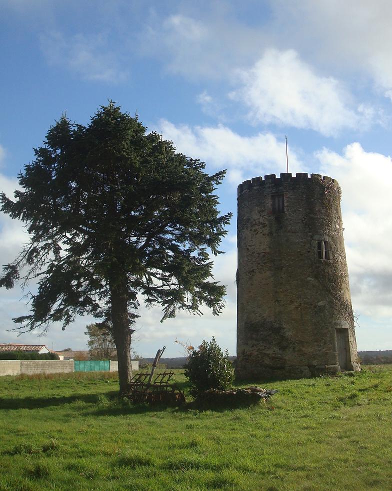 PHOTOS DE VENDEE: Le dernier moulin de Saint-Mathurin