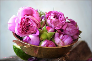 Dulceata de trandafiri