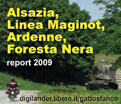 Alsazia, Linea Maginot, Ardenne, Foresta Nera...