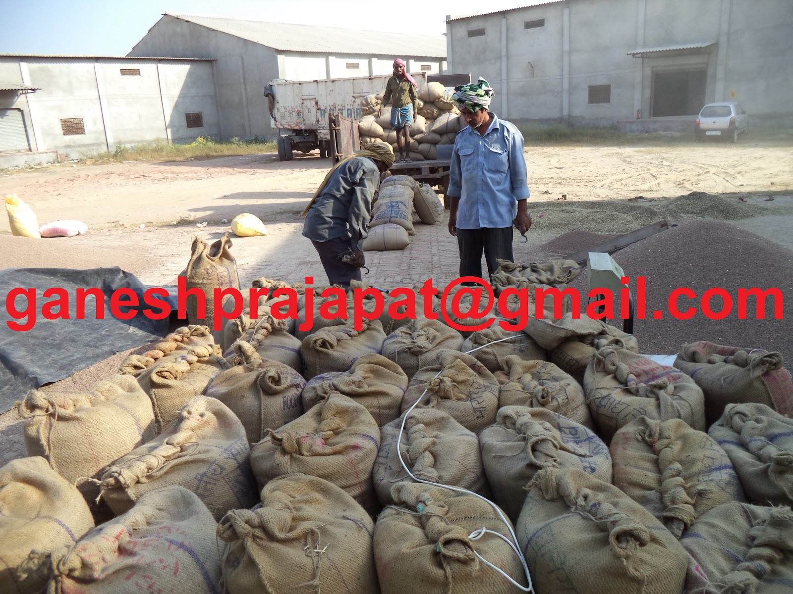 GUAR GUM INFORMATION AND GUAR GUM CULTIVATION IN INDIA Guar gum and